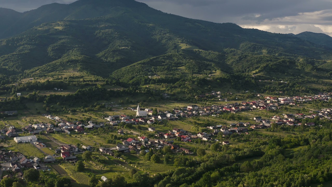 bargau