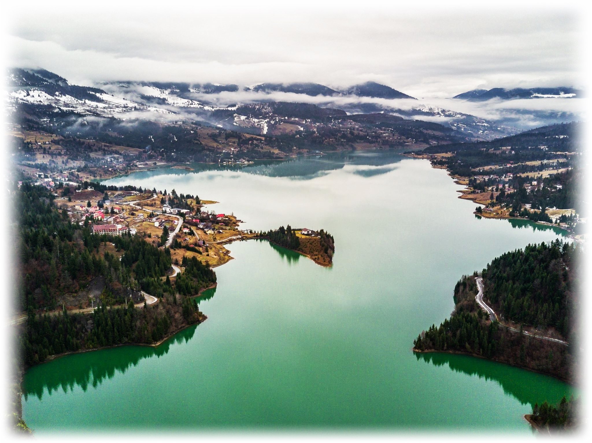 colibita